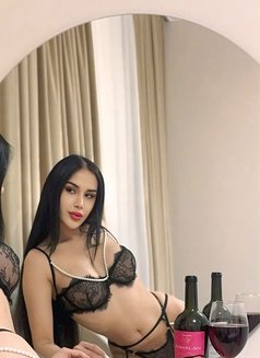 🇦🇿Hanna🇦🇿 Vip Escort - Transsexual escort in Doha Photo 13 of 13