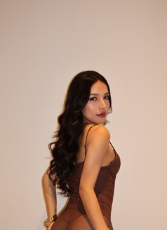 Hannah - Acompañantes transexual in Kuala Lumpur Photo 29 of 29