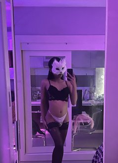 Hannah TeenTS - Acompañantes transexual in Phuket Photo 11 of 14