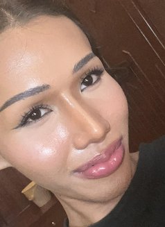 Hannah TeenTS - Acompañantes transexual in Phuket Photo 13 of 14