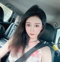 Hanruoxi - Transsexual escort in Macao Photo 1 of 11