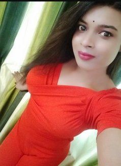 Hansika sen - Transsexual escort in Patna Photo 17 of 24