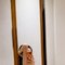 Happy - Acompañantes transexual in Abu Dhabi Photo 4 of 7