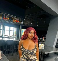 Happy Girl - escort in Kuwait