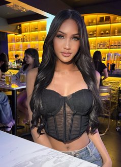 Hara banana big - Transsexual escort in Bangkok Photo 1 of 7