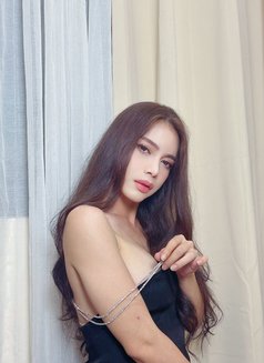 Hara Manila - Acompañantes transexual in Tokyo Photo 13 of 15