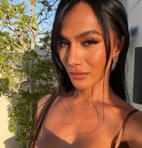 Hard Candy - Transsexual escort in Dubai