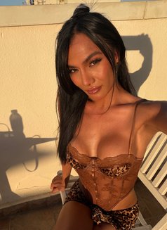 Hard Candy - Transsexual escort in Dubai Photo 2 of 30