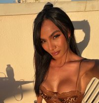 Hard Candy - Transsexual escort in Dubai
