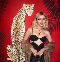 Hard Dick 8 Inches Licking Your Ass - Transsexual escort in Dubai
