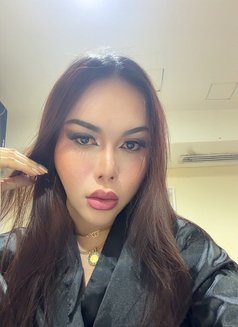 Hard top mistress - Transsexual escort in Abu Dhabi Photo 16 of 16