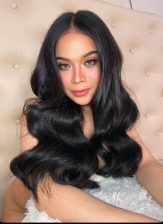 Hardcore Ts katey - Transsexual escort in Manila Photo 7 of 12