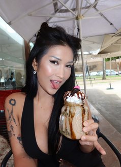 HARDCORE yuki - Transsexual escort in Marrakech Photo 14 of 23