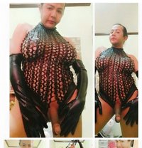 Hardfucker 7 inches COCK Mistressin town - Acompañantes transexual in Manila Photo 17 of 17