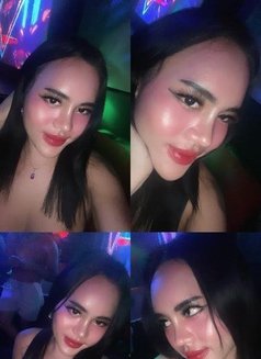 Hardfucker cum in your mouth - Transsexual escort in Bali Photo 17 of 17