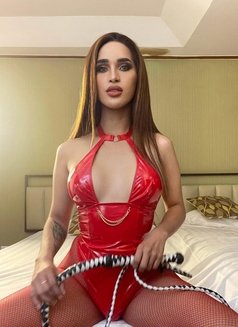 MISSTRESS FOR HIGH . BE MY SLUT ! - Transsexual dominatrix in Bangkok Photo 4 of 17