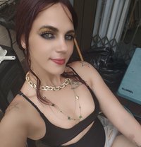 Harlequin - escort in Durban