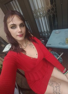 Harlequin - puta in Durban Photo 2 of 2