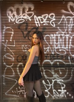 Harley - Transsexual escort in Yokohama Photo 5 of 5