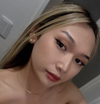 Harley - Transsexual escort in Yokohama