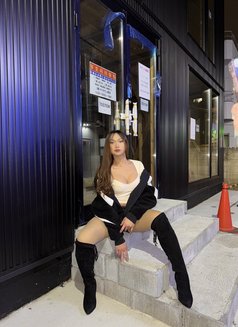 Harley - Acompañantes transexual in Yokohama Photo 10 of 14