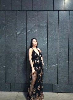 Sexy Kawaii - Transsexual escort in Manila Photo 4 of 16
