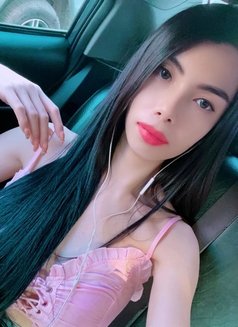 Sexy Kawaii - Transsexual escort in Manila Photo 12 of 16