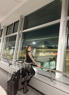 Harmony_tatted🦋 - companion in Manila Photo 12 of 15