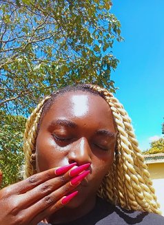 Harrilynn - Transsexual escort in Kisumu Photo 3 of 3