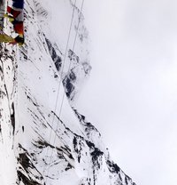 Harry - Intérprete masculino de adultos in Chandigarh