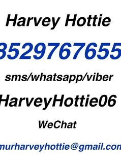 Harvey Hottie - Male escort in Hong Kong Photo 8 of 8