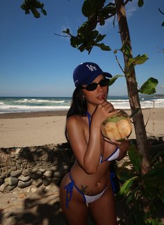 Hasley Just Arrive 🤍 - escort in Tokyo Photo 17 of 20