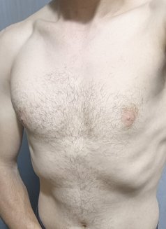Hassan Mizy - Male escort in Beirut Photo 1 of 1