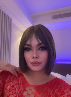 Hassan - Transsexual escort in Jeddah Photo 10 of 11
