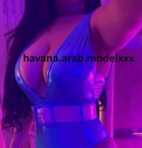 Havana. Arab. Modelxxx - escort in Cairo