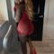 Hana Anal 200$ - escort in Entebbe