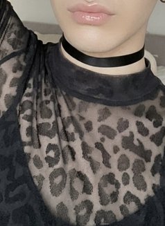 Femboy Tunis - Male escort in Tunis Photo 9 of 10