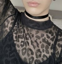 Femboy Tunis - Male escort in Tunis