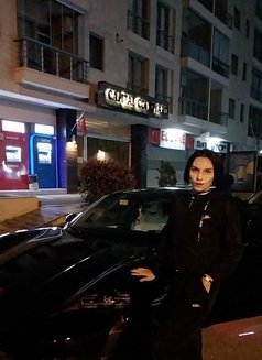 Haya T Xanum - Agencia de acompañantes transexuales in İstanbul Photo 4 of 6