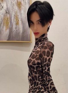 Hayatt - Transsexual escort in Riyadh Photo 26 of 30