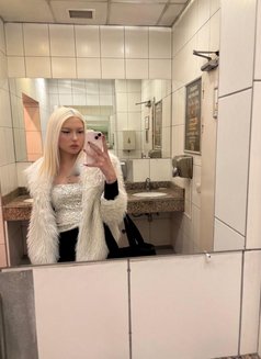 Hazal - puta in İstanbul Photo 3 of 3