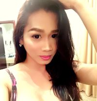 Ts Hazel ready CAM SHOW send Paypal - Transsexual escort in Singapore