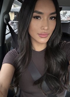 head of time booking please - Transsexual escort agency in Manila Photo 21 of 23