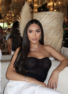 ARCI - Transsexual escort agency in Sydney Photo 23 of 23