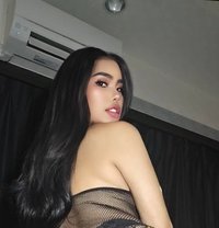 Dangerously Attractive - Acompañantes transexual in Pyeongtaek