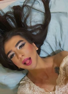 Heam 22cm - Transsexual escort in Beirut Photo 19 of 19