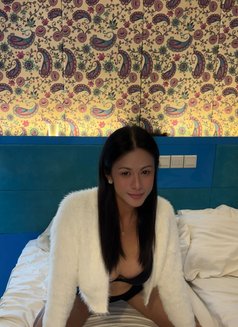 TS HARD FULLY FUNCTIONAL - Transsexual escort in Kuala Lumpur Photo 8 of 8