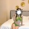 Hebe - Incall&Outcall-Rim-Cum-No condom - puta in Singapore Photo 4 of 5
