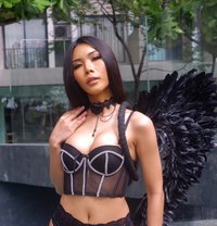 Heetee - Transsexual escort in Hong Kong
