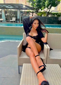 Heetee - Transsexual escort in Hong Kong Photo 22 of 22